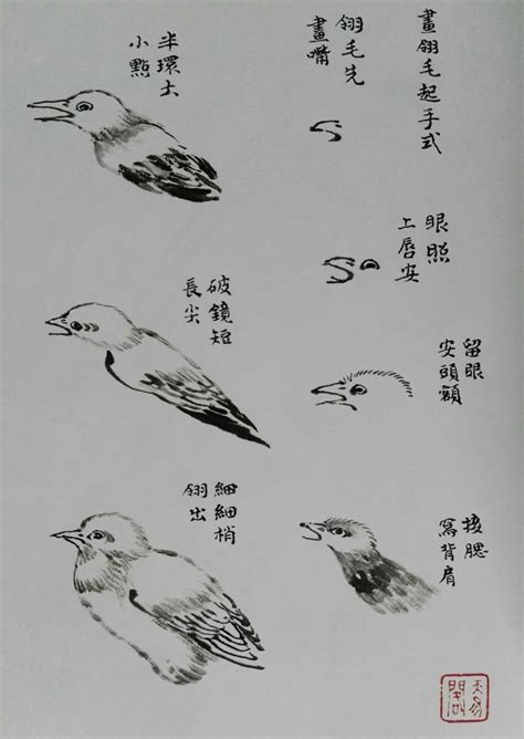 鸟 画|画鸟技法12个步骤分解和21种姿势，让你轻松入门